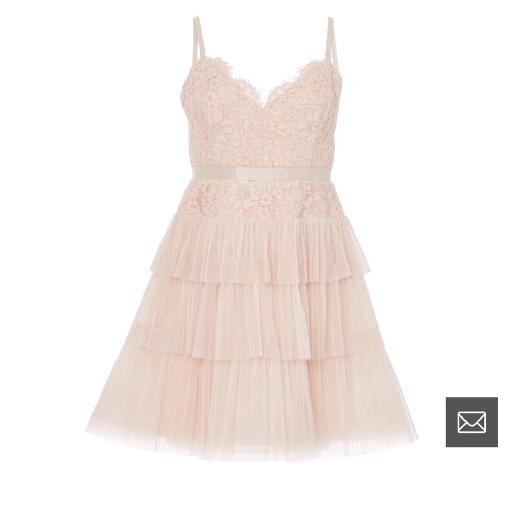 BCBGMaxazria lace and tulle powder color dress. Size 6.